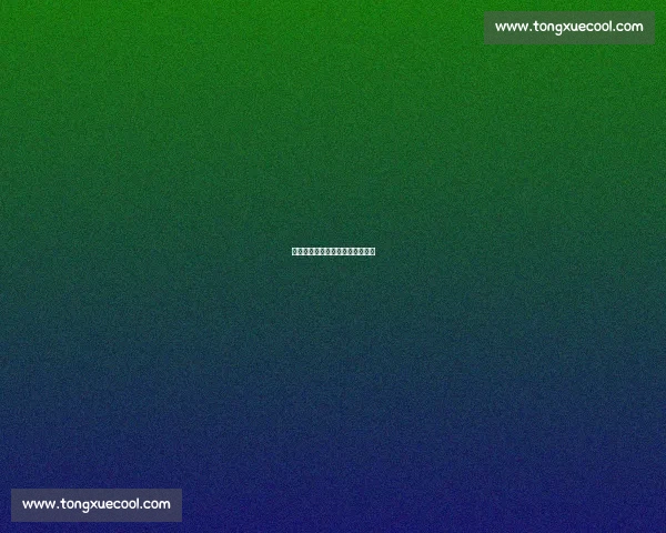 维蒂尼亚：认真态度是胜利的底色