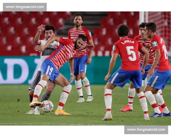 意大利对阵瑞典强强对话引爆欧洲足球焦点之战赛场期待巅峰较量