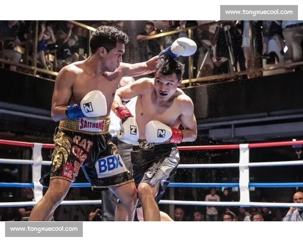 少林功夫对决泰拳铁肘重膝的巅峰武道文化碰撞传奇