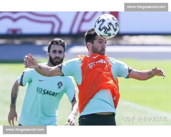 法国对阵葡萄牙出场名单解析核心阵容与战术看点前瞻全面对比焦点