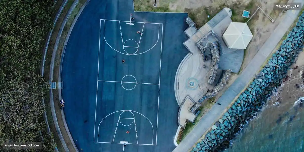 <strong>b体育官网</strong>在这里，遇见更强大的自己！💪