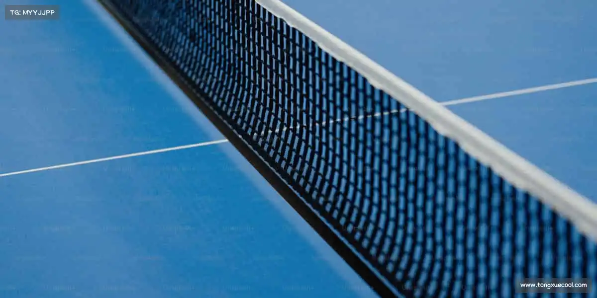 为什么选择我们